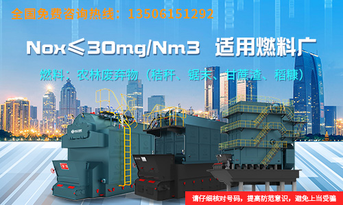 山東泰山鍋爐有限公司