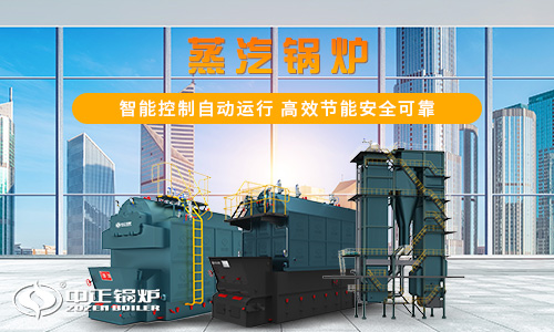 生物質(zhì)鍋爐規(guī)格型號