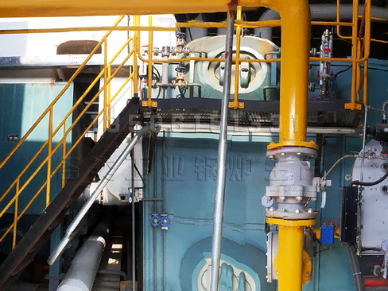 5T生物質燃料鍋爐